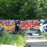 2009_06140132