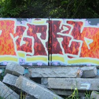 2009_06140400