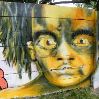 2009_06160039