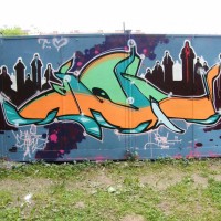2009_06160052