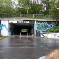2010_07250053