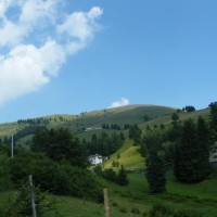 DSCF8167