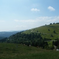 DSCF8180