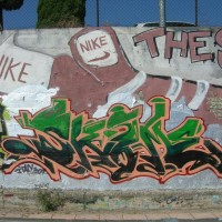 DSCN6979
