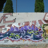 DSCN6981