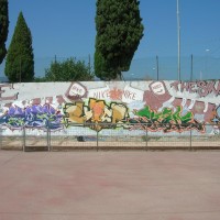 DSCN6982
