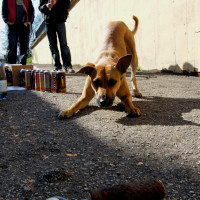 2010_04030058