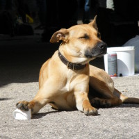 2010_04030073