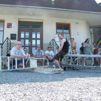 2010_06130015