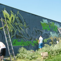 2010_06130021