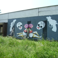 2010_06130025