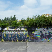 2010_06130060
