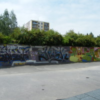 2010_06130061