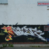 2010_06130065
