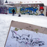 2010_12180001