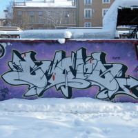2010_12190006