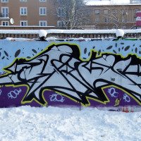 2010_12190010