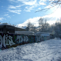 2010_12190015