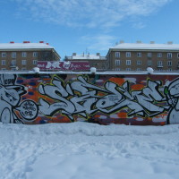 2010_12190020
