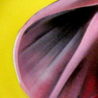2011_02130063