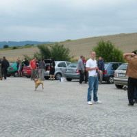 2011_07310034