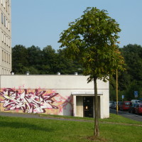 2011_09190090