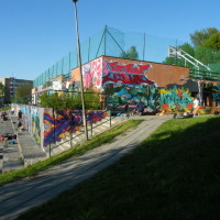 DSCF3645