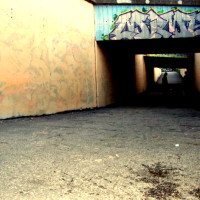 DSCF5573