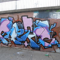 DSCN0024