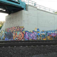 DSCN0494