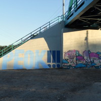 DSCN0495