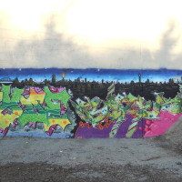 DSCN0500