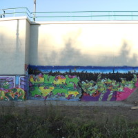 DSCN0501