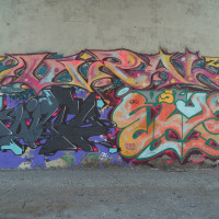 DSCN0502