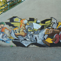 DSCN0503
