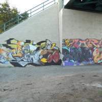DSCN0505