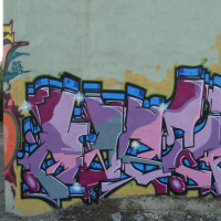 DSCN0506