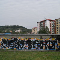 DSCN1033