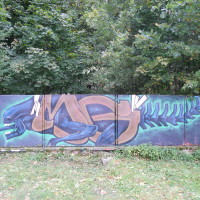 DSCN1206