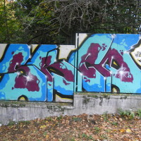 DSCN1209