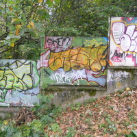 DSCN1210