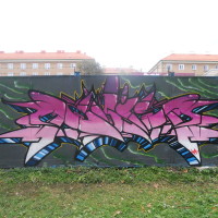 DSCN1222