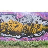 DSCN1223