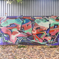 DSCN1229