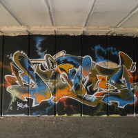 DSCN1377