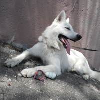 DSCN9983