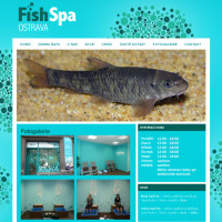 web_spa