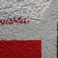 DSCN7260